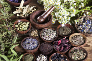 Chinese Medicine and Herbs - Houston TX